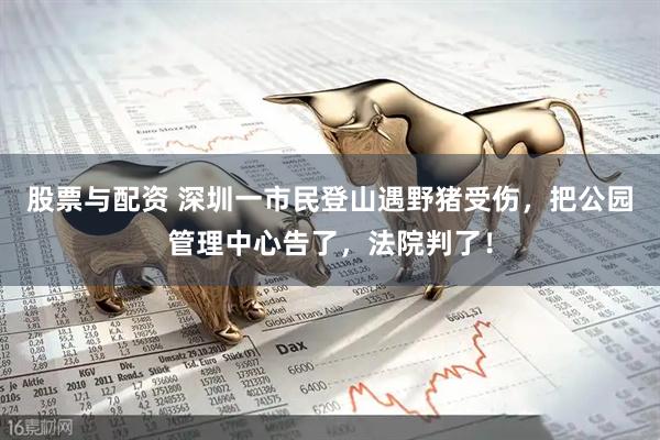 股票与配资 深圳一市民登山遇野猪受伤，把公园管理中心告了，法院判了！